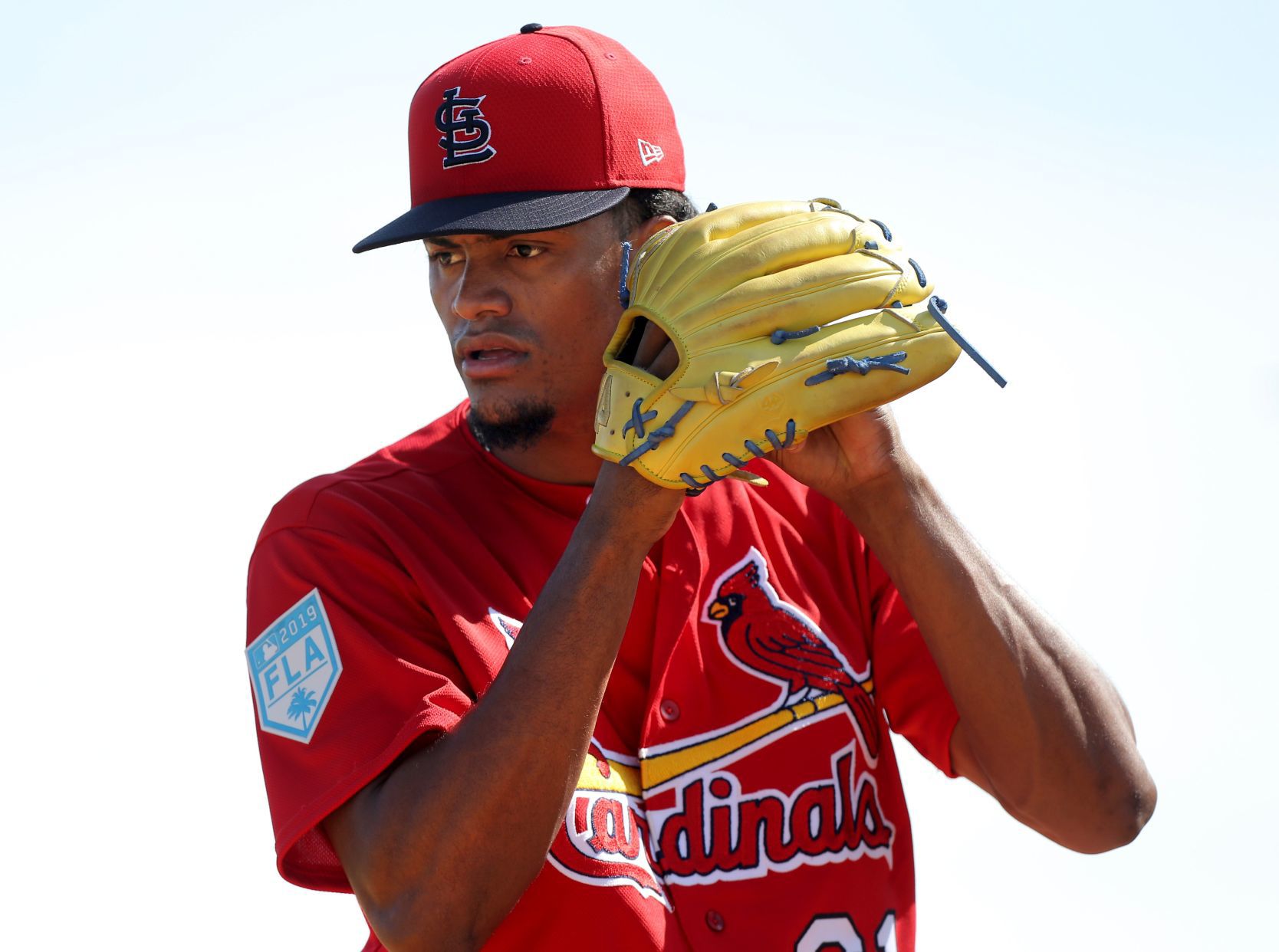 2019 Cardinals spring training